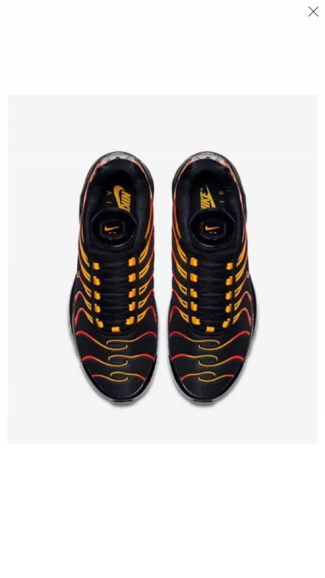 Air max plus